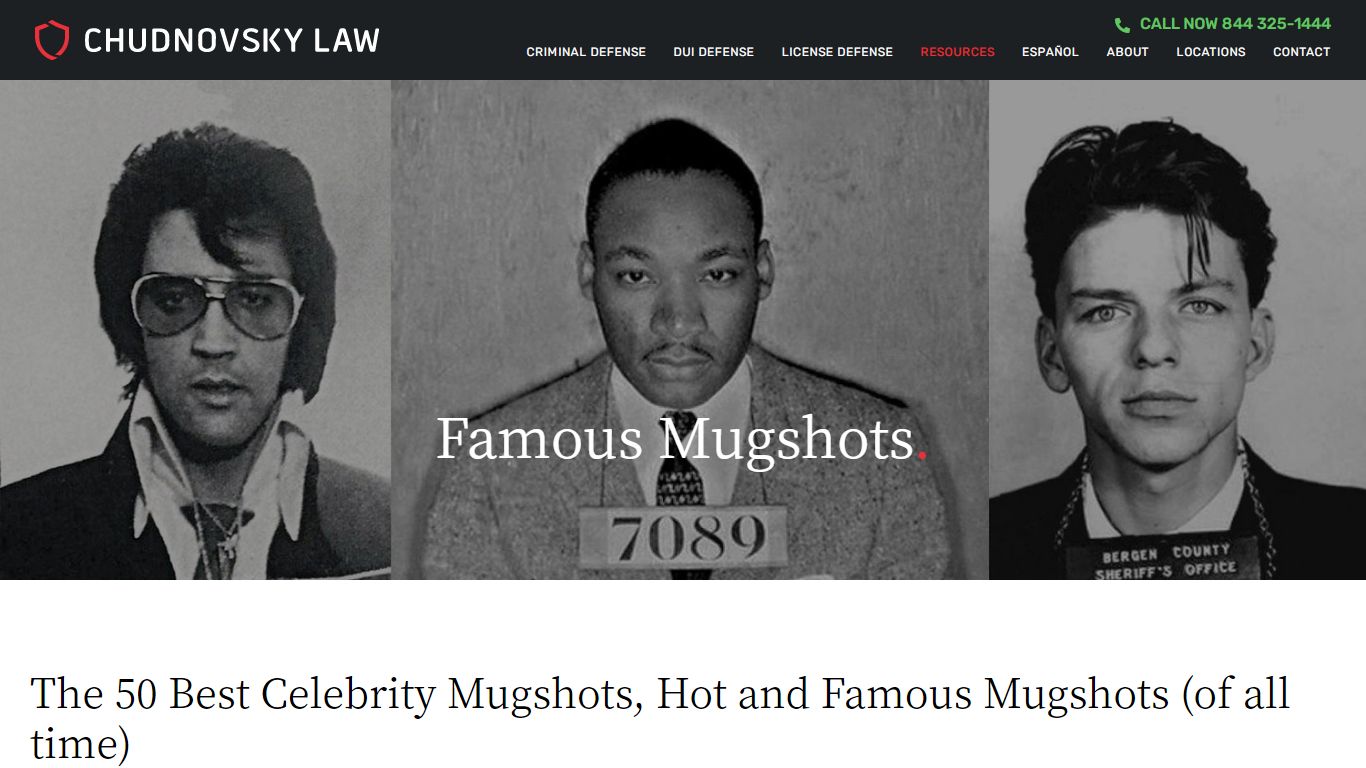 The 50 Best Celebrity Mugshots, Hot and Famous Mugshots ...